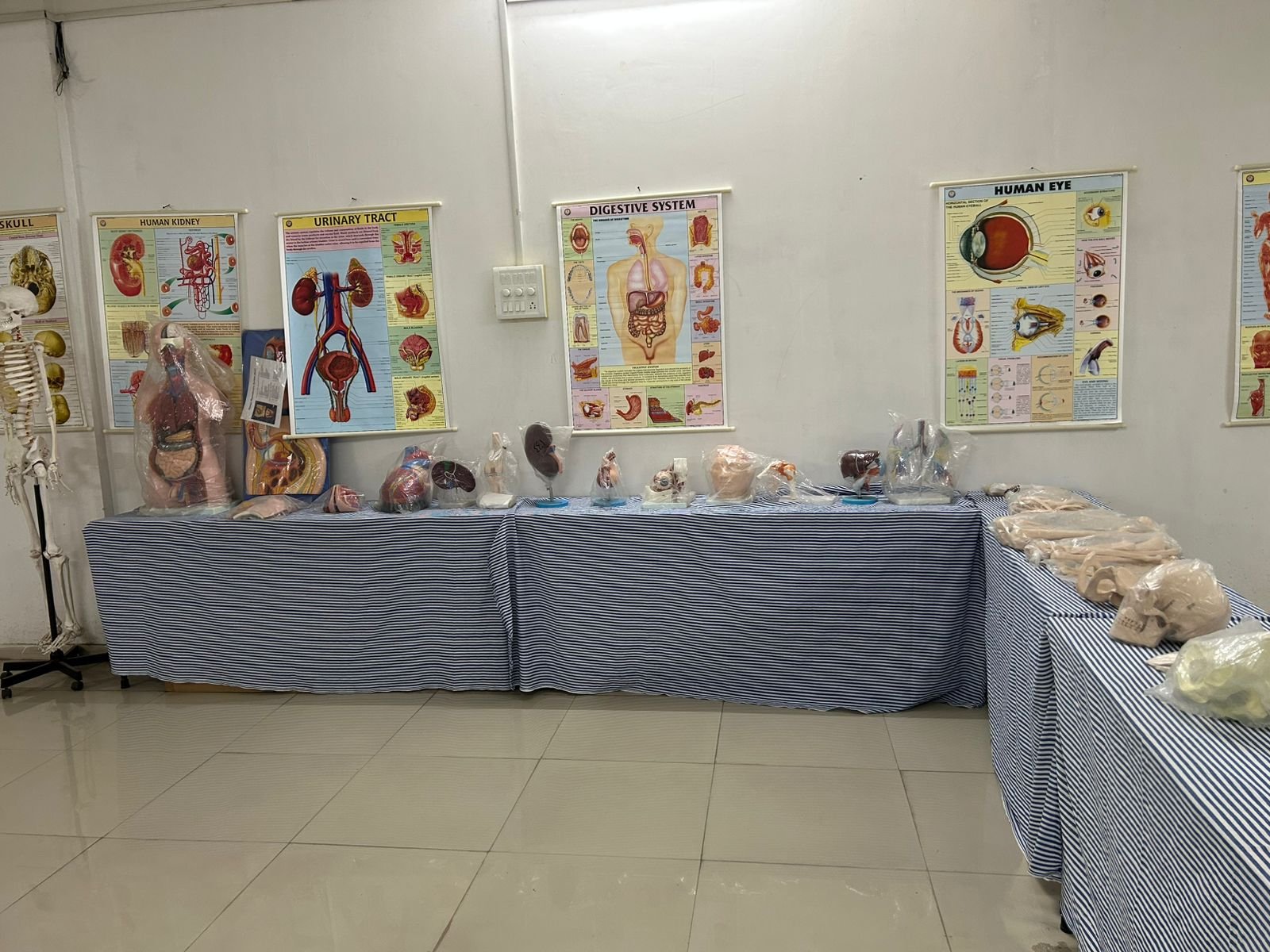 Clinical Skills Practice